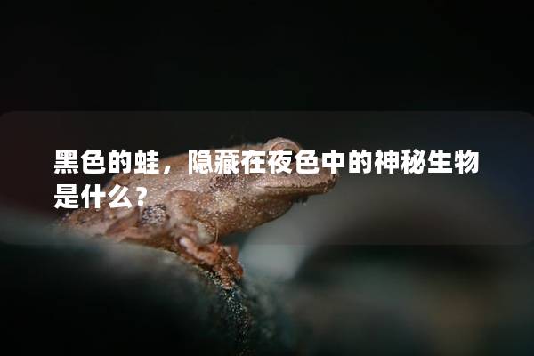黑色的蛙，隱藏在夜色中的神秘生物是什么？